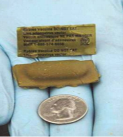 Rabies bait compared in size to coin