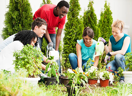5 teenagers gardening 