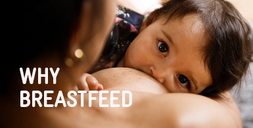 Why breastfeed