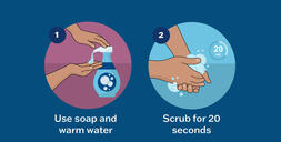 graphic that shows four steps to washing hands and says "Don't spread germs. Wash your hands."