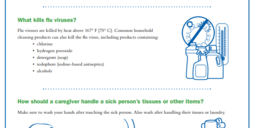 Influenza (Flu) cleaning to prevent the flu handout image