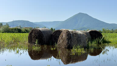 hay bales on flooded land